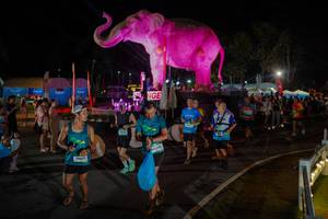 BIB: 
                            <button type="button" onclick="openModal(26552349)" class="btn btn-primary btn-sm float-right btn-popup" data-toggle="modal" data-target=".modal-high-quality">
                        <i class="fas fa-shopping-cart"></i> Add to Cart
                    </button>
                                            <button type="button" onclick="isThisMe(26552349, true)" class="btn btn-success btn-sm float-right btn-popup btn-isme hidden" data-toggle="tooltip" data-placement="bottom" title="นี่คือรูปของคุณใช่ไหม คลิกที่นี่เพื่อเอาเข้าอัลบั้ม">
                        <i class="fas fa-plus"></i> Add to album
                    </button>
                    <button type="button" onclick="isThisMe(26552349, false)" class="btn btn-warning btn-sm float-right btn-popup btn-isnotme hidden">
                        <i class="fas fa-ban"></i> Remove from album
                    </button>